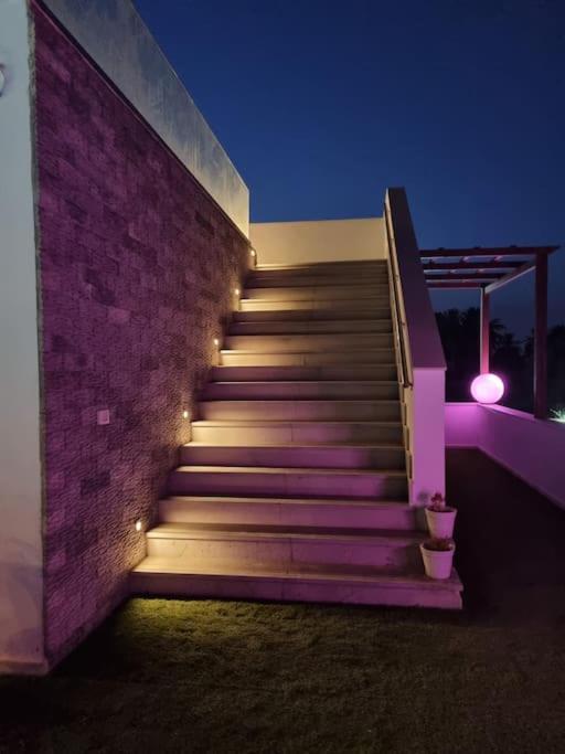 Dar Jamila - Au Coeur De L'Oasis - Villa Tacape Eksteriør bilde