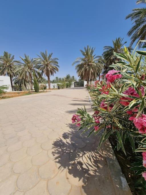 Dar Jamila - Au Coeur De L'Oasis - Villa Tacape Eksteriør bilde